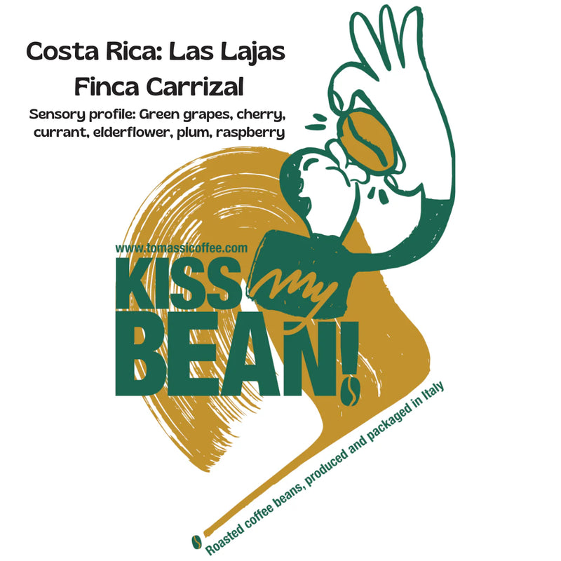 Las Lajas Finca Carrizal Costa Rica